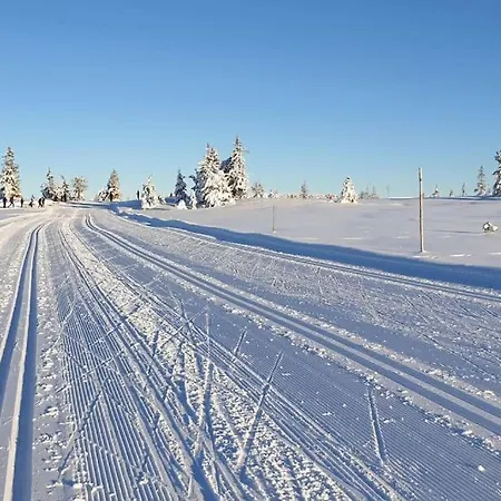 Med Panoramautsikt Innendors Parkering Apartmán Sjusjoen