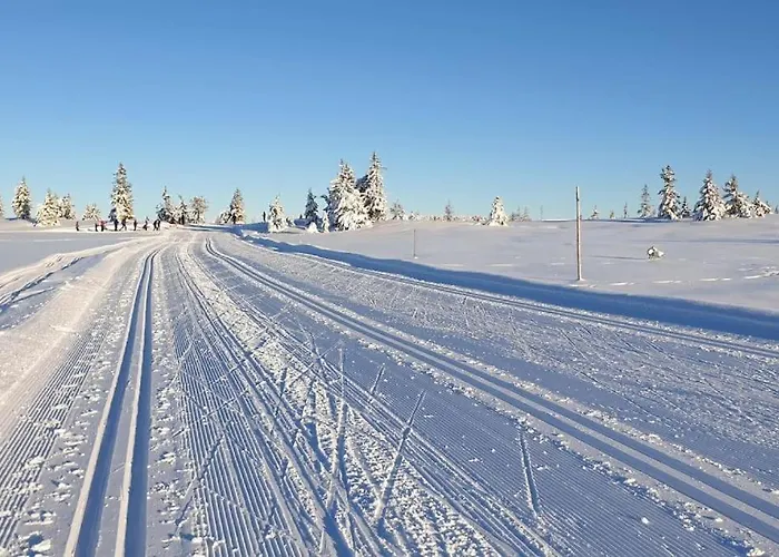 Med Panoramautsikt Innendors Parkering Lejlighed Sjusjoen