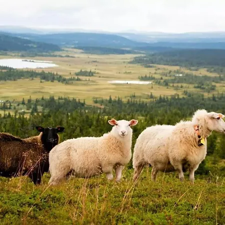 Med Panoramautsikt Innendors Parkering Apartamento Sjusjoen